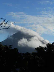 Image description
